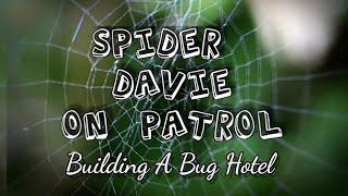 Spider Davie On Patrol - Bug Hotel