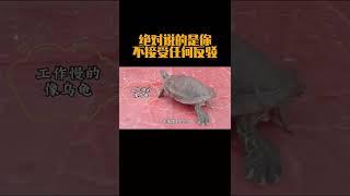 这里面说的绝对是你，不接受任何反驳#科普#涨知识