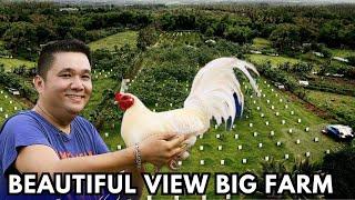 Beautiful View Best Big Farm in Bacolod Philippines Wakela Farm