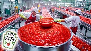 Wie Heinz-Ketchup In Der Fabrik Hergestellt Wird