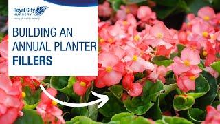 Get Growing Series: Building an Annual Planter - Fillers | Royal City Nursery