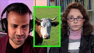 Linda Moulton Howe on why cattle get mutilated - with Curt Jaimungal