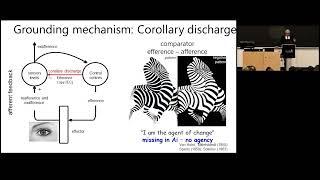 Dr. György Buzsáki (NYU) - Keynote Lecture: Brain-inspired Computation: by which Brain Model?