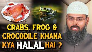 Crabs, Frog & Crocodile Khana Kya Halal Hai ? By Adv. Faiz Syed