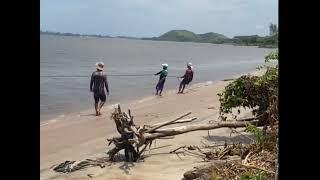 PESCARIA DE MANJUBA EM IGUAPE/SP