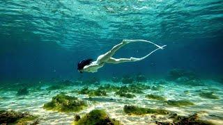 보라카이 호핑투어 프리다이빙 스노클링 스킨다이빙 boracay boracayfreedive boracayfreediving boracaydiving