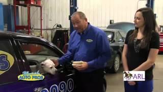 Des Moines Best Auto repair | Hot Dog