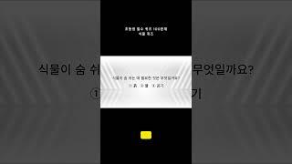 초등생 필수 퀴즈 5문제 \ 매일 상식 키우기 \ 영재로 키우기 \ 뇌건강 \ 지식퀴즈