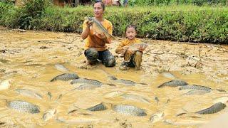 harvest fish pond, catch giant fish to sell with daughter - grow vegetables on the farm