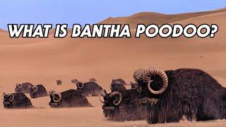 What Is Bantha Poodoo, Really?