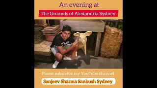 An evening at The Grounds of Alexandria Sydney by Sanjeev Sharma Sydney