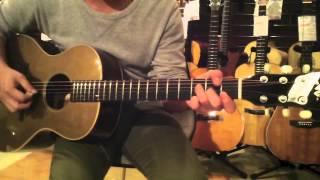 Dolphin Guitars - VG  01M Gold Top  Demo