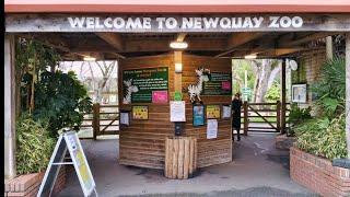 Newquay Zoo - The Perfect Place For Primate Beauty + A Tropical Walk Around Trenance Gardens