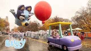 Bluey at Macy's 2024  | Parade Day Highlights featuring the Grannies!  | Bluey