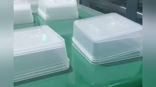 Disposable Food boxes Manufacturing Process | Thin wall Food Container Making Machine