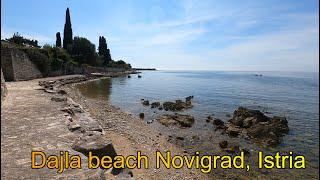 Dajla Istria, Beach in Dajla near Novigrad