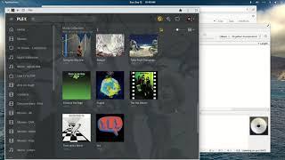 MusicBrainz Picard examples for beginners to fix metadata issues for Plex