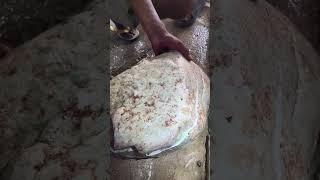 切原石。翡翠|原石|珠宝首饰 #翡翠 #翡翠直播 #珠宝首饰