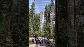 Visit Yosemite National Park