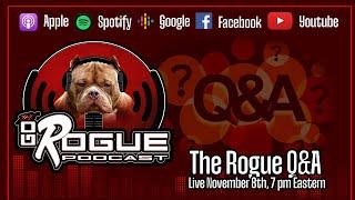 The Go Rogue Q&A