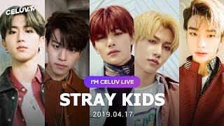 [Multi SUB/I'm Celuv] Stray Kids(스트레이 키즈), 19년 4월 17일 방송 Full Ver. (Celuv.TV)