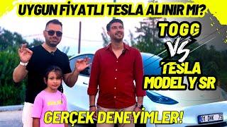 TOGG T10X mi TESLA Model Y SR mi? Hangisi alınır?