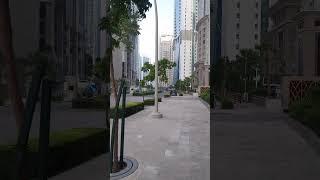 Beautiful Doha City Walk Tour | The Times of Qatar