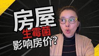 美国房屋生霉会影响房价？房东必看！