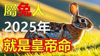 2025生肖運勢，十二生肖屬兔人的運勢，隨著新年2025年的征程展開。，屬兔人被幸運女神特別青睞，屬兔人的運勢在春風中翻滾生長，屬兔人欣欣向榮，屬兔人昭示著一個充滿活力與機遇的一年（生肖兔）