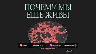 Бей-беги-замри: как адреналин спасает жизни | Подкаст Почему мы ещё живы