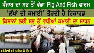 How to start pig and fish farm|ਪੰਜਾਬ 'ਚ ਵੱਡਾ ਸੂਰ ਅਤੇ ਮੱਛੀ ਫਾਰਮ|ਕਿਸਾਨਾਂ ਲਈ ਵੱਡਾ ਕਮਾਈ ਦਾ ਸਾਧਨ|Ep-01