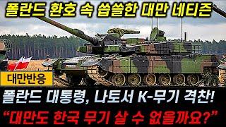 [대만반응] 폴란드 대통령, 나토 회의서 K-무기 ‘격찬’ / “대만도 한국무기 살 수 없을까요?” /폴란드 환호 속 씁쓸한 대만 네티즌