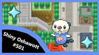 (Live) Shiny Oshawott After 1,638 Soft Resets! Unova Shiny Living Dex #501