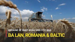 Ukraine sẽ xuất khẩu ngũ cốc qua Ba Lan, Romania và các nước Baltic | Truyền hình Quốc hội Việt Nam