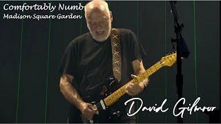 Comfortably Numb - David Gilmour - Madison Square Garden - NYC - Nov 6 2024