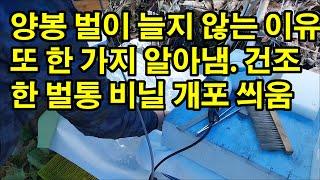 양봉 벌이 늘지 않는 이유 또 한 가지 알아냄 건조한 벌통 비닐개포를 씌웠습니다