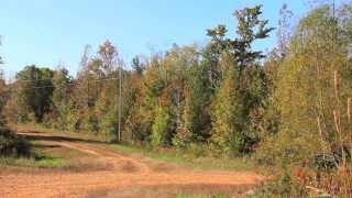 Peregrine Heights Estates - 5 Acre Building Lots in Henderson County Tennessee