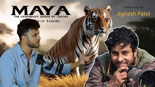 Bloodline of Tadoba Tigers | Podcast | Maya Tigeress | Tadoba-Andhari Tiger Reserve Forest