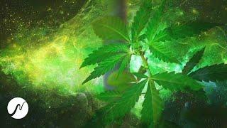 Experimental: Cannabis Frequency (THC molecule) - 30 Hz Binaural Beats