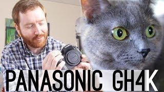 My first 4K footage is CATS! Unboxing PANASONIC GH4