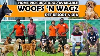 Coimbatore Dog Boarding | Luxury with Affordable Price | Woofs n Wagz | Spa | Swimming | Grooming