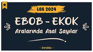 EBOB - EKOK | Aralarında Asal Sayılar | LGS 2024