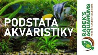 PODSTATA AKVARISTIKY - XARDAZ