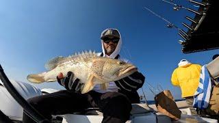 HOW IS THE FISHING IN DUBAI? - FULL DAY CHARTER - ZAYA FISHING