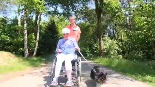 Landal Twenhaarsveld | Video Ferienpark Holten, Overijssel, Niederlande