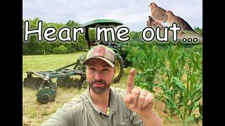 HEAR ME OUT!  | Planting Corn for Doves with a Disc