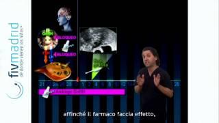 Stimolazione ovarica e il protocollo lungo -  Parla il ginecologo