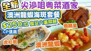 【香港美食】全新開幕 尖沙咀粵菜酒家 港鐵直達 地點方便 海鮮套餐 澳洲龍蝦海斑套餐 $250/位 燒鵝 石斑 食八道菜 Isquare 港匯軒 Hong Kong Food Tour | 吃喝玩樂