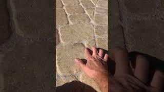 Paver Sealing gone wrong!  How it should NOT look after sealing your pavers