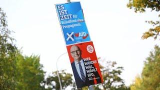 Wahl in Brandenburg: SPD droht Niederlage - AfD in Umfragen vorne